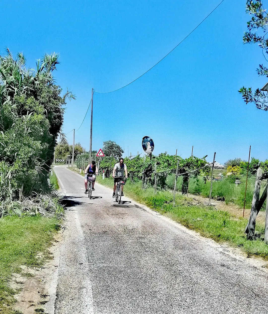 Venice Lagoon Bike tour Lio Piccolo - detourist